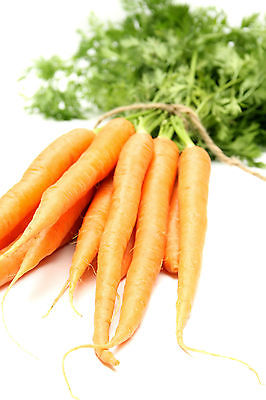 Carrot Seeds - *SHERBET* - Pale Orange - Heirloom Variety - 50+ Seeds 