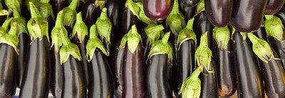Eggplant Seeds - MEGAL  - Solanum Melongena var. Esculentum - 10 Seeds