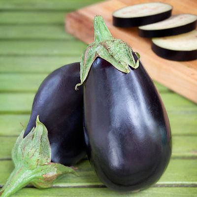 Eggplant Seeds - CLASSIC BLACK - Easy to Grow - Gmo Free - 25 Seeds