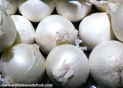 Sweet White Spanish Onions - Mild Tasting, Great for Cooking - 20 Bulbs / Sets