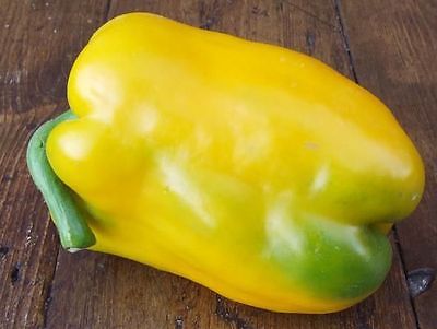 Sweet Bell Pepper Seeds - SUPER HEAVY WEIGHT YELLOW - theseedhouse - 20 Seeds 