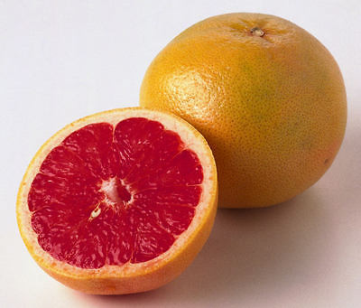 Grapefruit Seeds - RUBY RED - Citrus Fruit - Medical Benefits - 10 Seeds
