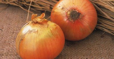 Onion Seeds - KEEPWELL F1 - Huge Onions - Great Flavor - Gmo Free - 50+ Seeds