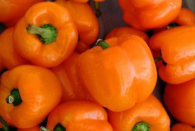 Sweet Bell Pepper - ORIOLE - Blocky 4 Lobed Fruit -Good Potted Plant -200+ Seeds