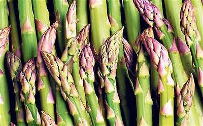 40 Seeds Asparagus Seeds Delicious PACIFIC 2000 Gmo Free Hardy Variety 