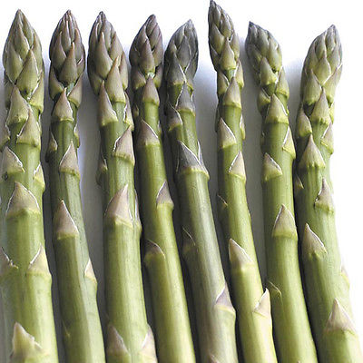 Asparagus Seeds - PACIFIC 2000 - Gmo Free Hardy Variety - Delicious - 20 Seeds 