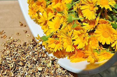Calendula Seeds - RESINA - Pot Marigold - Edible Flowers & Leaves - 25 Seeds 