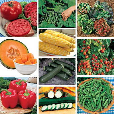 GARDEN SURVIVAL Seed Variety -Entire Vegetable Garden- Wholesale - 1700+ Seeds 
