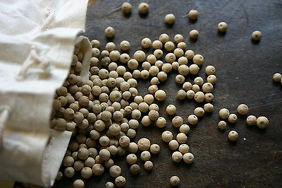 White Peppercorn Seeds - SARAWAK -  Gmo Free Climber - 1000+ Organic Seeds 