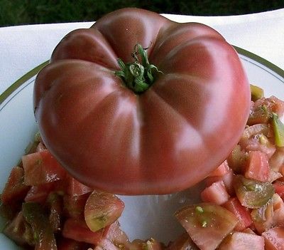 Tomato Seeds - PURPLE CHEROKEE - Heirloom Variety - Great Potted - 10 Seeds