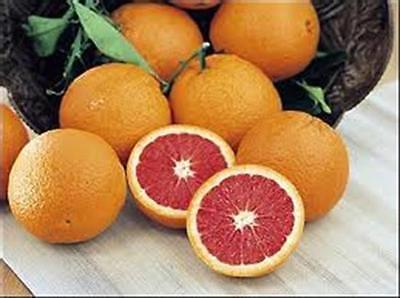 Orange Tree Seeds - RED NAVEL - CARA CARA NAVEL - Sweet Fruit - 10 Seeds
