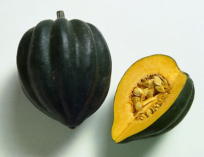 Squash Seeds - ACORN - Great With Butter and Lemon, or Brown Sugar - 10+ Seeds 