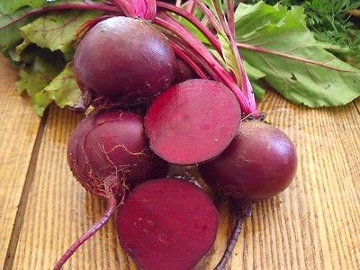 Beet Seeds - *DETROIT DARK RED* - Globe-Shaped Roots - theseedhouse - 50 Seeds 