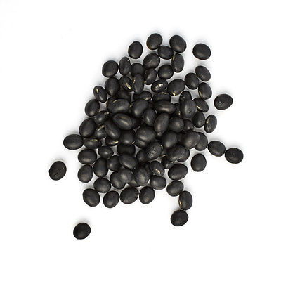 Bean Seeds - KOREAN BLACK SOYBEAN - Sweet Flavour - Bush Bean Plant - 30 Seeds