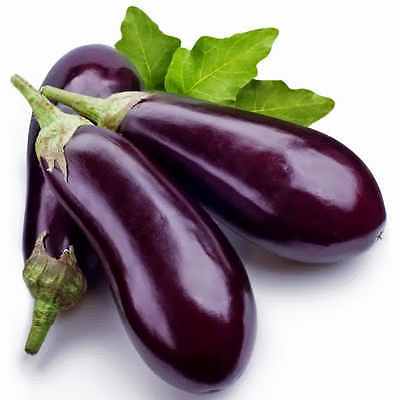 Eggplant Seeds - CAPPI - Great Tasting, High Yielding - F1 Hybrid - 10 Seeds