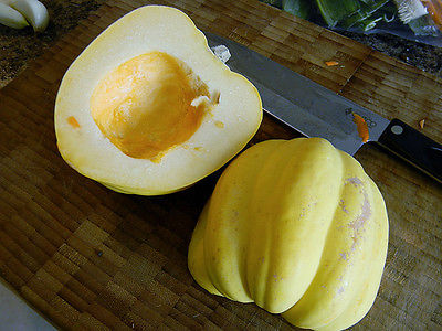 Squash Seeds - WHITE SWAN -Nice Nutty Flavor - Heirloom - Stores Well - 10 Seeds