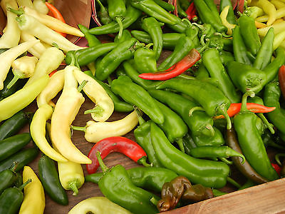 Pepper Seeds - ANAHEIM CHILI - Hot!!! - Versatile Vegetable - 40 Seeds 