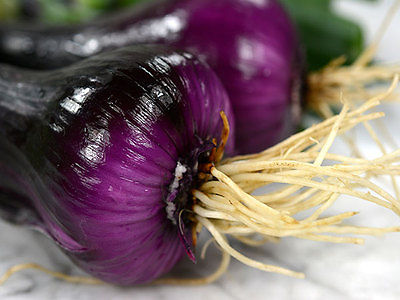 Onion Seeds - NORTH HOLLAND BLOOD RED - Dutch Red Onions - Gmo Free - 50+ Seeds